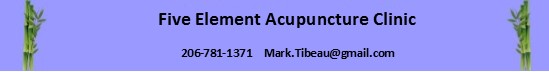 Mark Tibeau, Licensed Acupuncturist - 5 Element Acupuncture in Seattle, Washington